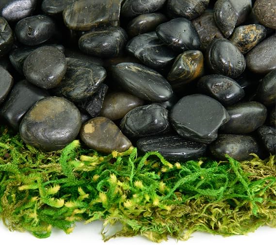 Polished Pebbles | 10 Pounds of Natural, Decorative Stones | Hand-Picked, Premium Pebbles for Aquariums, Terrariums, Fish Tanks and Gardens | Black, 3/8 Inch - 5/8 Inch